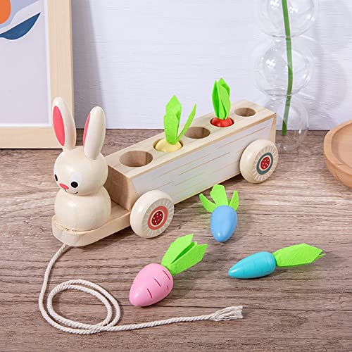 Multiple Function Carrot Harvest Wooden Montessori Toys for Age 3 Year