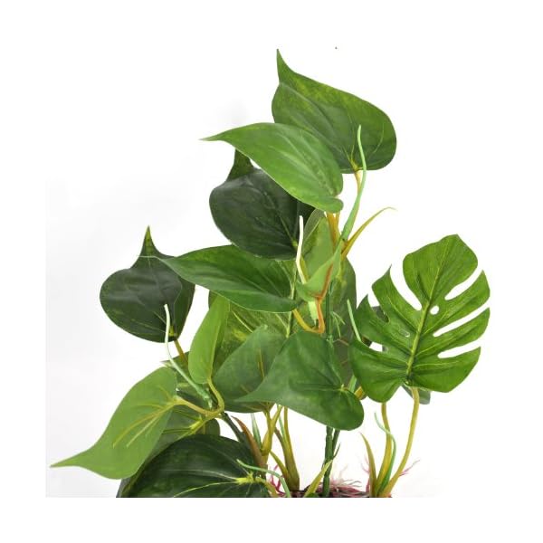 DIGIFLEX-Artificial-Plant-for-Fish-Tank--Fake-Plant--Fish-Tank-Decorations--Fishtank-Ornament-Green-Leaves--20cm--Home-Aquarium--Natural-Realistic-Design DIGIFLEX Artificial Plant for Fish Tank – Fake Decorations – Fishtank Ornament Green Leaves – 20cm – Home Aquarium – One…