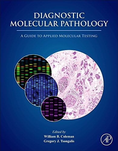 Extracellular Matrix-derived Implants in Clinical Medicine (Woodhead Publishing Series in Biomaterials)