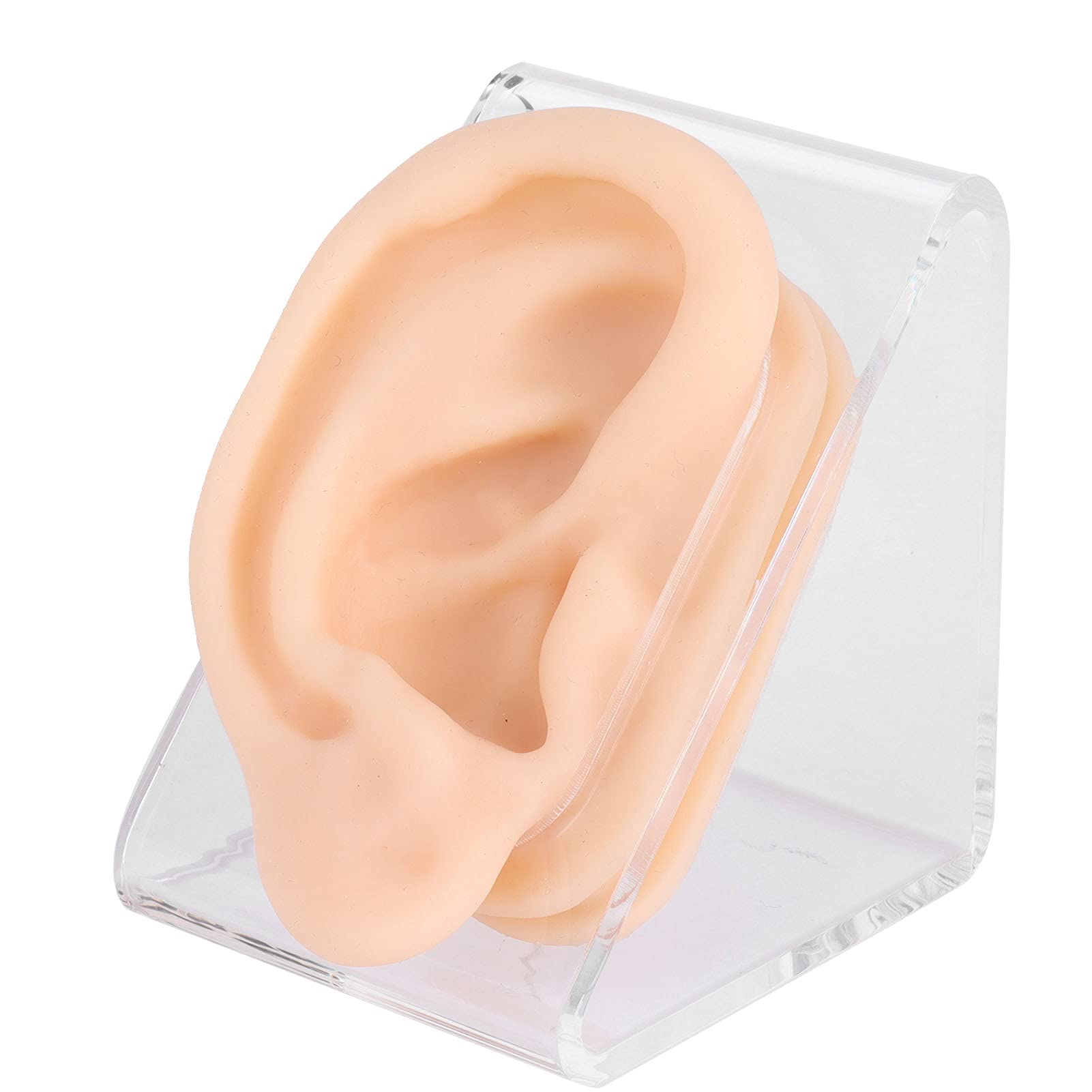 Ear Model, Practice Ear Model, Life Size Human Ear Model, Soft Silicone Ear Model Silicone Ear Acupuncture Practice Model Right and Left Teaching Resources