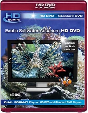 exotic saltwater aquarium fish