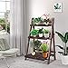 Giantex 3 Tier Folding Wooden Plant Stand, Indoor Flower Pot Holder Display Rack, Free Installation Corner Plants Storage Shelf, Foldable Rustic Wood Ladder Shelf for Home Patio Balcony Garden