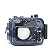 Sea frogs 195FT/60M Underwater Waterproof Camera Diving housing case for Sony DSC RX100 RX100II RX100III RX100IV RX100V RX100I-V (Housing + Red Filter)