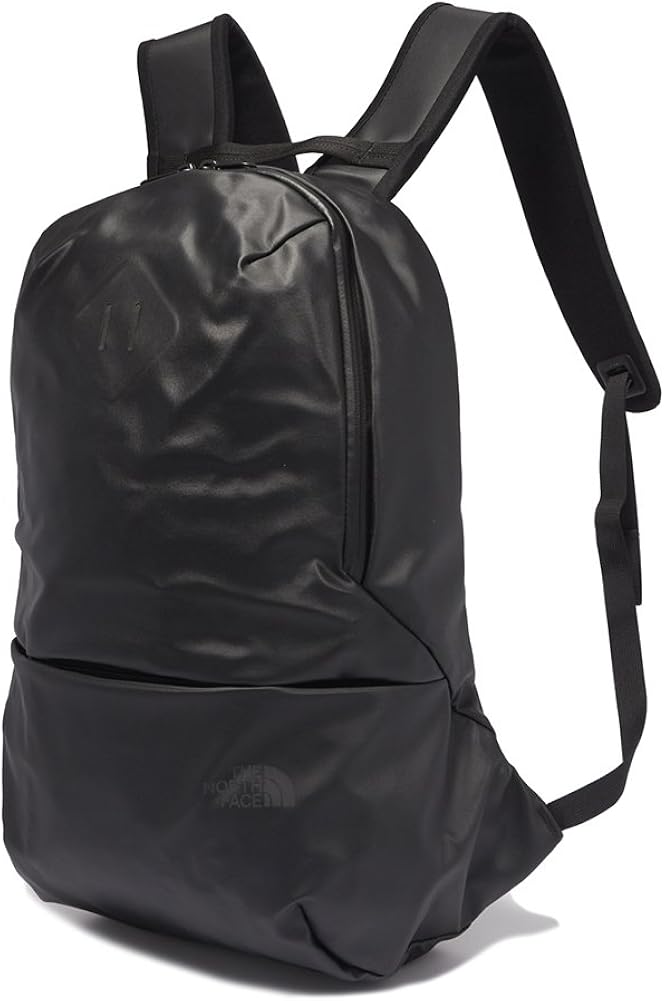 north face back to the future berkeley backpack