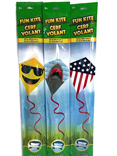 Kids Fun Kites - Pack of 3