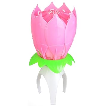 Organizacja Przyjec Bougie D Anniversaire Magique Fleur Lotus Musicale Tournante btravel Ge