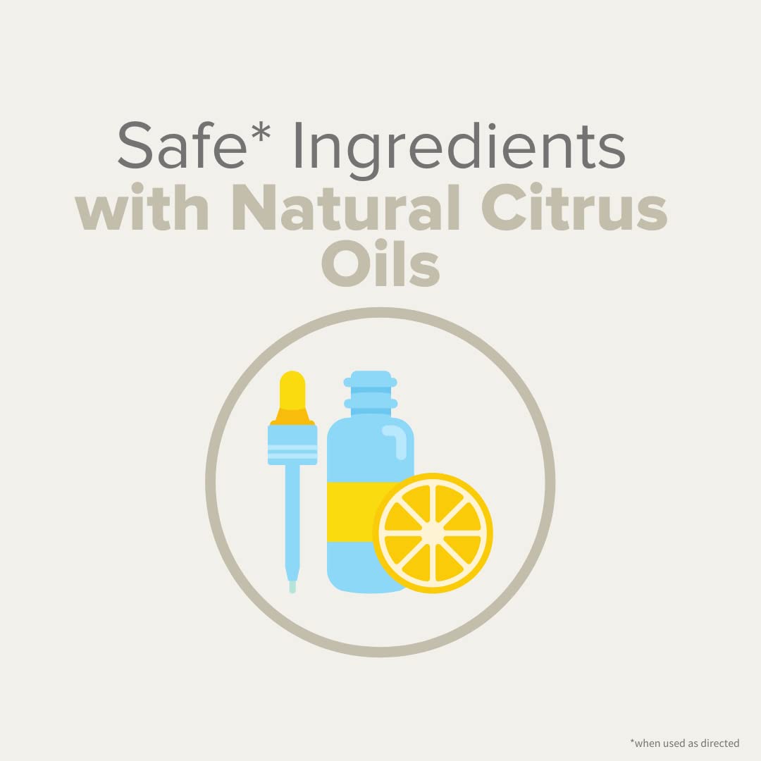 Citrus Magic Odor Eliminating Air Freshener Spray Orange-Vanilla Swirl, 3-Ounce, Pack of 3, 3.0 oz, 3 Count