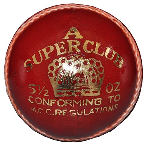 Red Leather Cricket Ball Practice