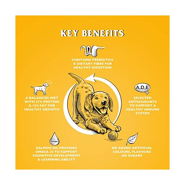 Gilbertson-Page-Dr-John-Puppy-10kg-mustard Gilbertson & Page Dr John Puppy 10kg