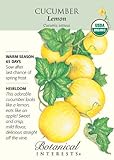Lemon Cucumber Certified Organic Heirloom Seeds
