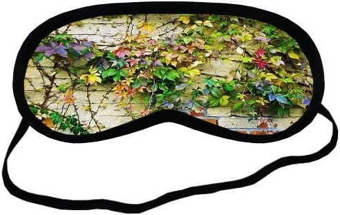 Personalise Custom Paintings Walls Beautiful Plants Sleeping Mask Best Comfortable Sleeping Eye Cover Great for Travel Rest And Meditation Shift Work Sleep