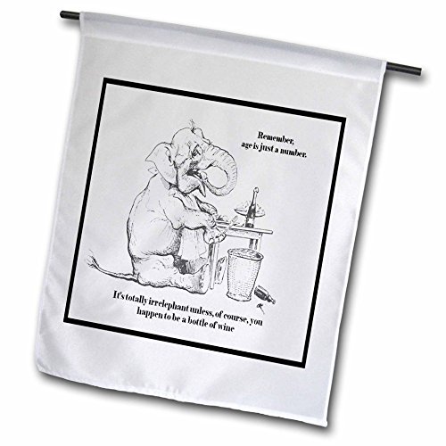 3dRose fl_78687_1 Birthday-Caricature, Elephant, Cute, Wine, Age, Birthday, Gre…
