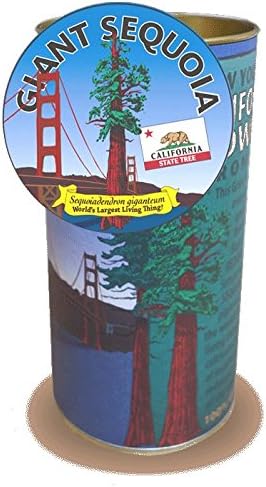 Jonsteen 5701.1 California Redwood Grow Kit44; Giant Sequoia