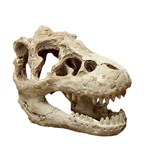 Resin Aquarium Fish Tank Landscape Simulation Dinosaur Head Bone Skull Decoration Ornament Accessories
