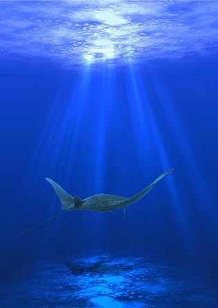 最新のhdダイビング 壁紙 Iphone 最高の壁紙コレクション