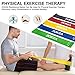 Resistance Bands Exercise Set of 5 12inch Workout Loop Mini Bands with 100% Natural Latexl for Workout and Physical Therapy