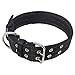 Pesp Dog Metal Buckle Double 2-Rows Belt Strap Adjustable Collar Large L (Black)
