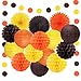 Happy Fall Thanksgiving Day Party Decorations Orange Yellow Brown Lanterns Paper Tissue Pom Poms Paper Fans For Autumn Harvest Birthday Happy Fall Party Supplies