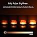 Himalayan Salt Lamp Pink Salt Rock Lamp with Dimmer Control LED Light No Bulbs Changed Need Natural Himalayan Sea Salt Night Lamp (Salt Lamp)