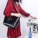 Hobo Shoulder Handbags For Women,Crossbody Large Capacity Tote Ladies Bucket Purse Bag