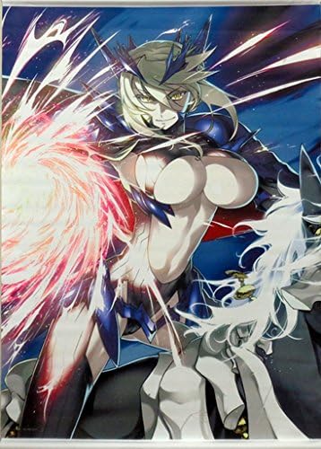 Amazon Fate Grand Order Premium Tapestry Vol 1 003 アルトリア ペンドラゴン オルタ ランサー アニメ 萌えグッズ 通販
