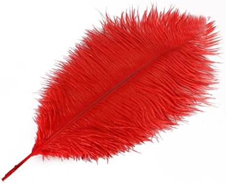 Wionya 5pcs Ostrich Feather Craft 16-18inch(40-45) Plume for Wedding Centerpieces Home Decoration