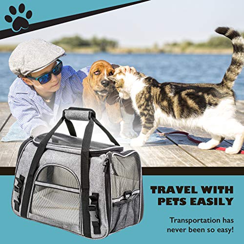 Pawfect Pets Airline Approved Pet Carrier SoftSided Cat Carrier and
