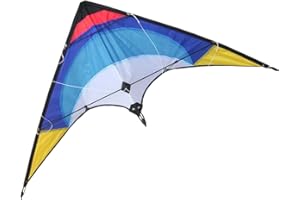 HENGDA KITE New 48 Inch Stunt Kite Outdoor Sport Fun Toys Dual Line Sport Kite - Includes Kite Line and Bag