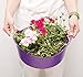 TUBTRUGS X-Small Shallow Tub, 5 L, Red