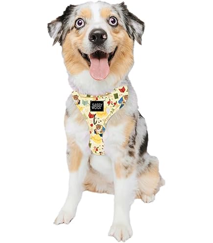 新品 SASSY WOOF サシーウォフ ディズニー ライオンキング 首輪リード 新品 SASSY WOOF サシーウォフ ディズニー ライオンキング 首輪