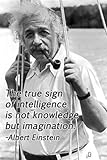 albert einstein quote CANDID INSPIRATIONAL POSTER 24X36 wisdom practicality
