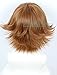Linfairy Unisex Short Straight Cosplay Wig Halloween Costume Full Wig for Women