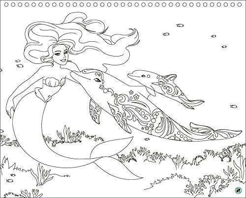 Animal Style Cahier Creatif Sirenes Et Dauphins Amazon Fr Alcouffe Christine Livres