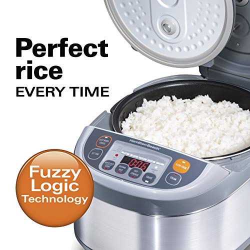 Advanced MultiFunction Rice Cooker Pricepulse