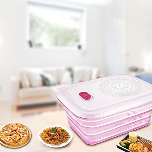 Partita Collapsible Food Storage Containers, Silicone Food Storage Containers with Lids, PBA Free, Dishwasher, Freezer and Microwave Safe 860ML Pink