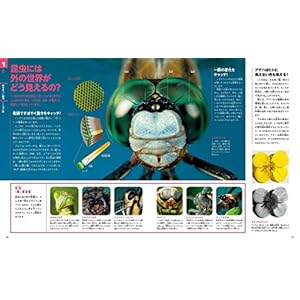 ビジュアル理科事典