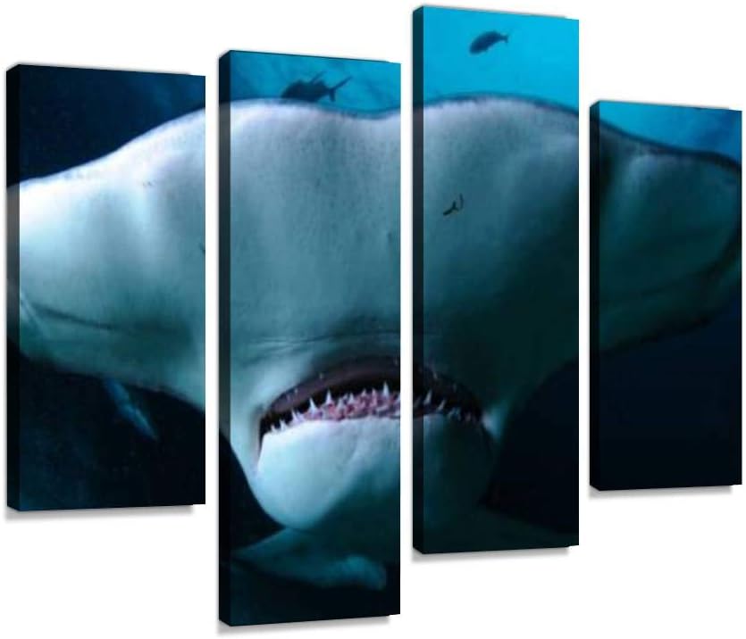 HIPOLOTUS 4 Panel Canvas Pictures Hammerhead Shark Close up Photo in Bahamas Undersea Close ups and Wall Art Prints Paintings Stretched & Framed Poster Home Living Room Decoration Ready to Hang