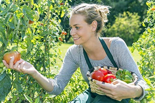 Alquiler de Huertos ecológicos urbanos en Madrid | 6 meses x 64,95 ...