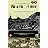 Seabee Book, World War Two, BLACK HELL: The Story Of The 133rd Navy Seabees On Iwo Jima February 19,1945