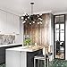 Light Society Sputnik 18-Light Chandelier Pendant, Matte Black, Mid Century Modern Industrial Starburst-Style Lighting Fixture (LS-C115-BLK)