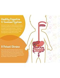 naturo Ciencias, Childrens Probiotico, Chewable Kids Probiotics Digestivo, relleno de nitrógeno...