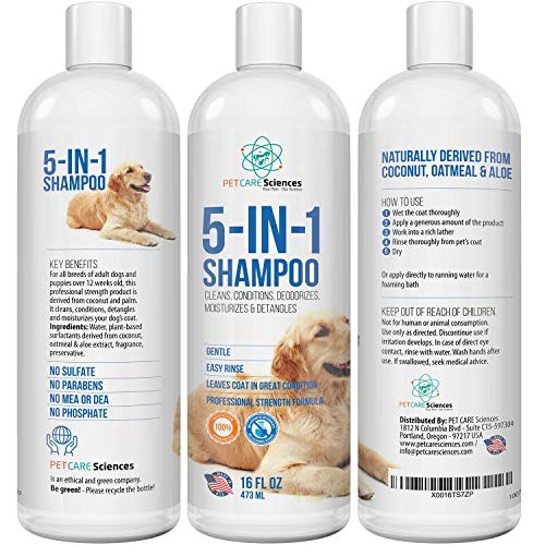 The 5 Best Dog Shampoos [2022 Review]