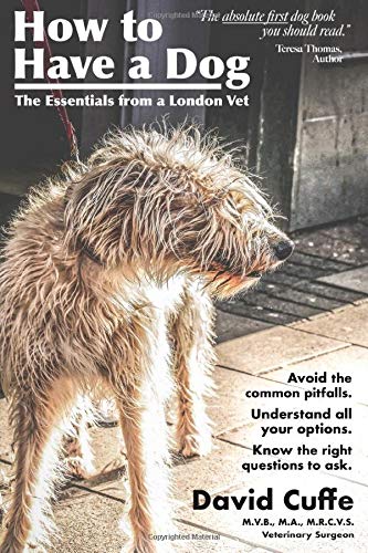 essentials for owning a dog