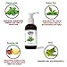 Facial Cleanser Face Wash Mint for Clear Skin, Anti-Blemish, Anti-Aging, Anti-Inflammatory for Oily, Dry and Sensitive Skin. Gentle, Effective, Natural and Organic, 4 ounces