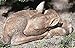 Sleeping Fawn Deer Garden Statue