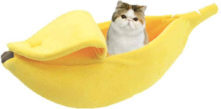 cute banana cat