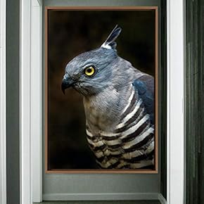 signwin Framed Canvas Wall Art Single Bird Birds...