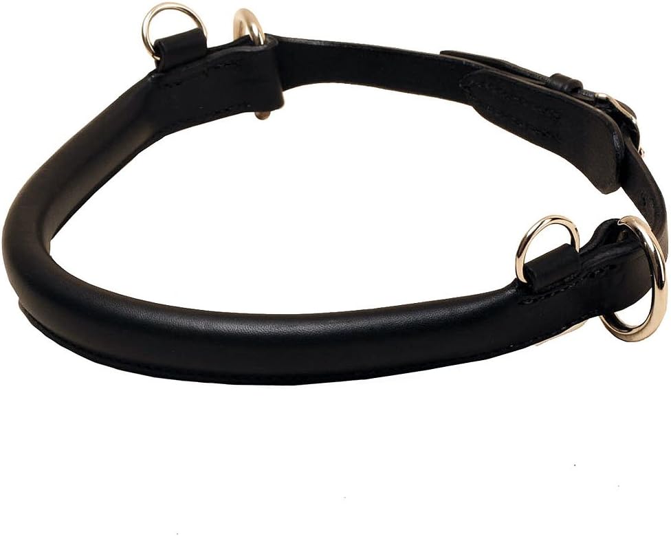 Jump Hackamore