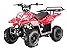 110cc Four Wheelers 6