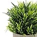 Velener Artificial Grass Potted Plant - Emerald Green Home Decor, Pumpkin Topiary Outdoor & Indoor Fall Plants Home Decor Accents, Coastal Kitchen, Countertops, Classroom, Farmhouse Christmas Decor